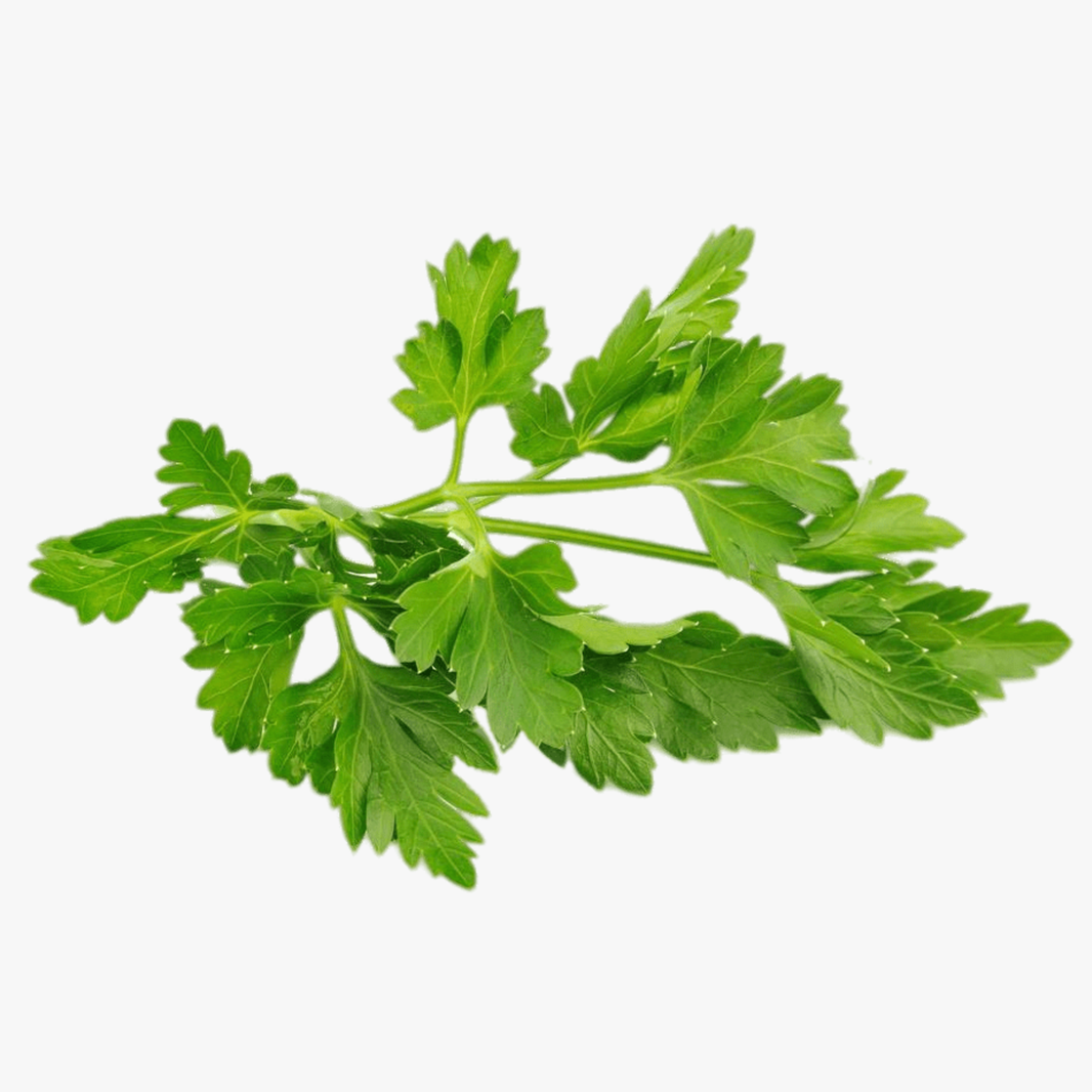Chervil Each