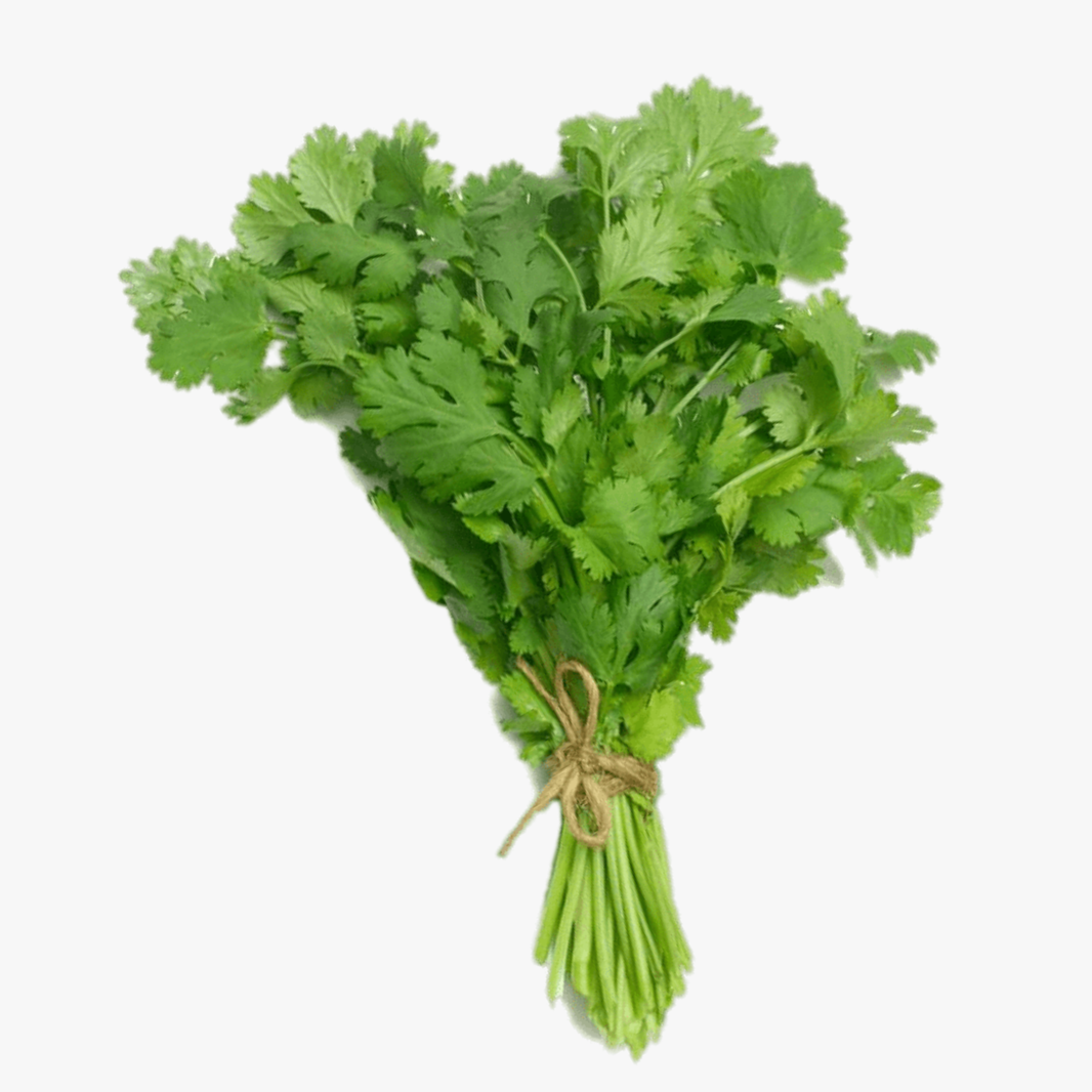 Coriander Each