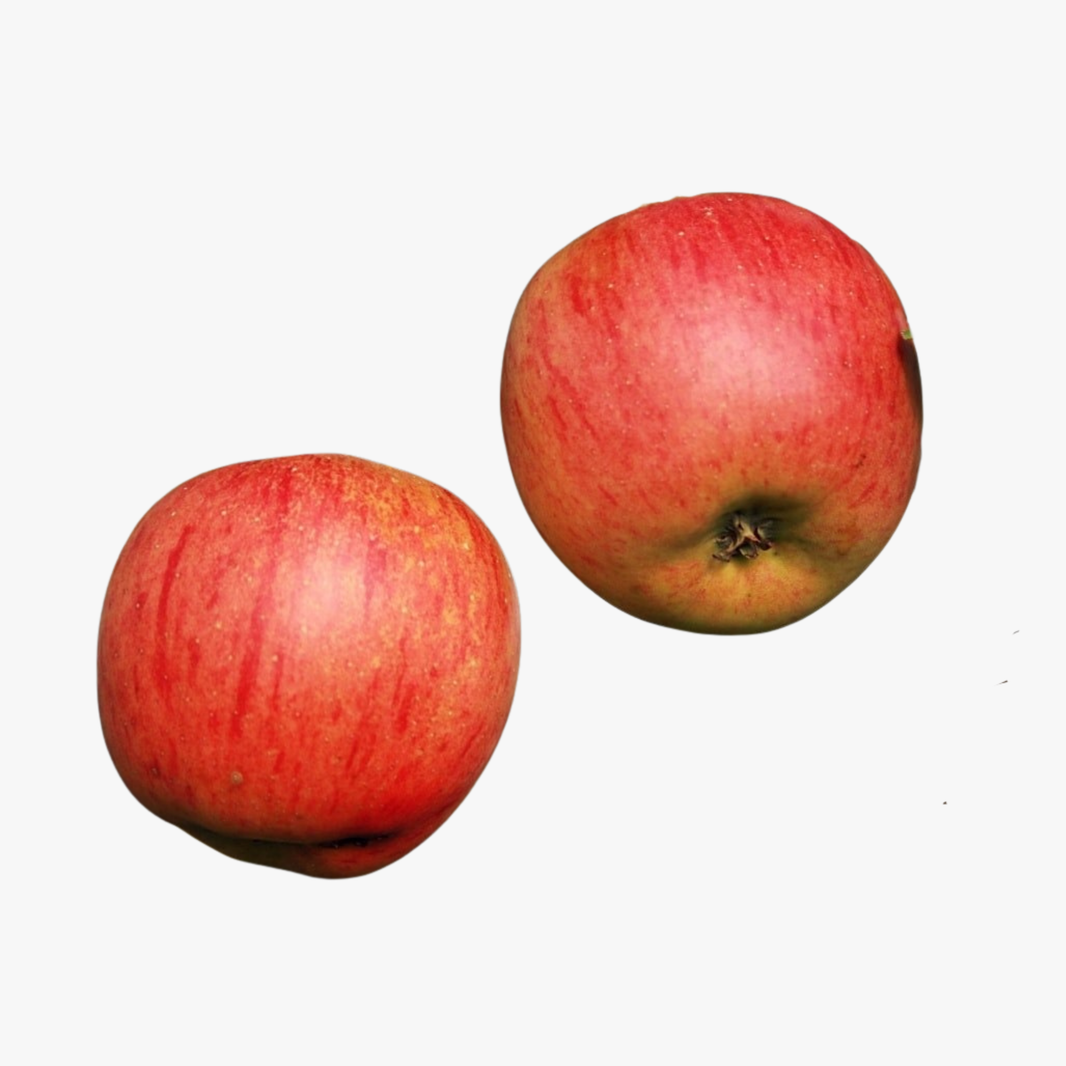 Gala Small Apples