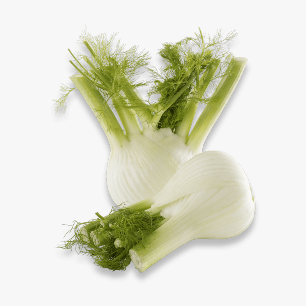 Fennel Each