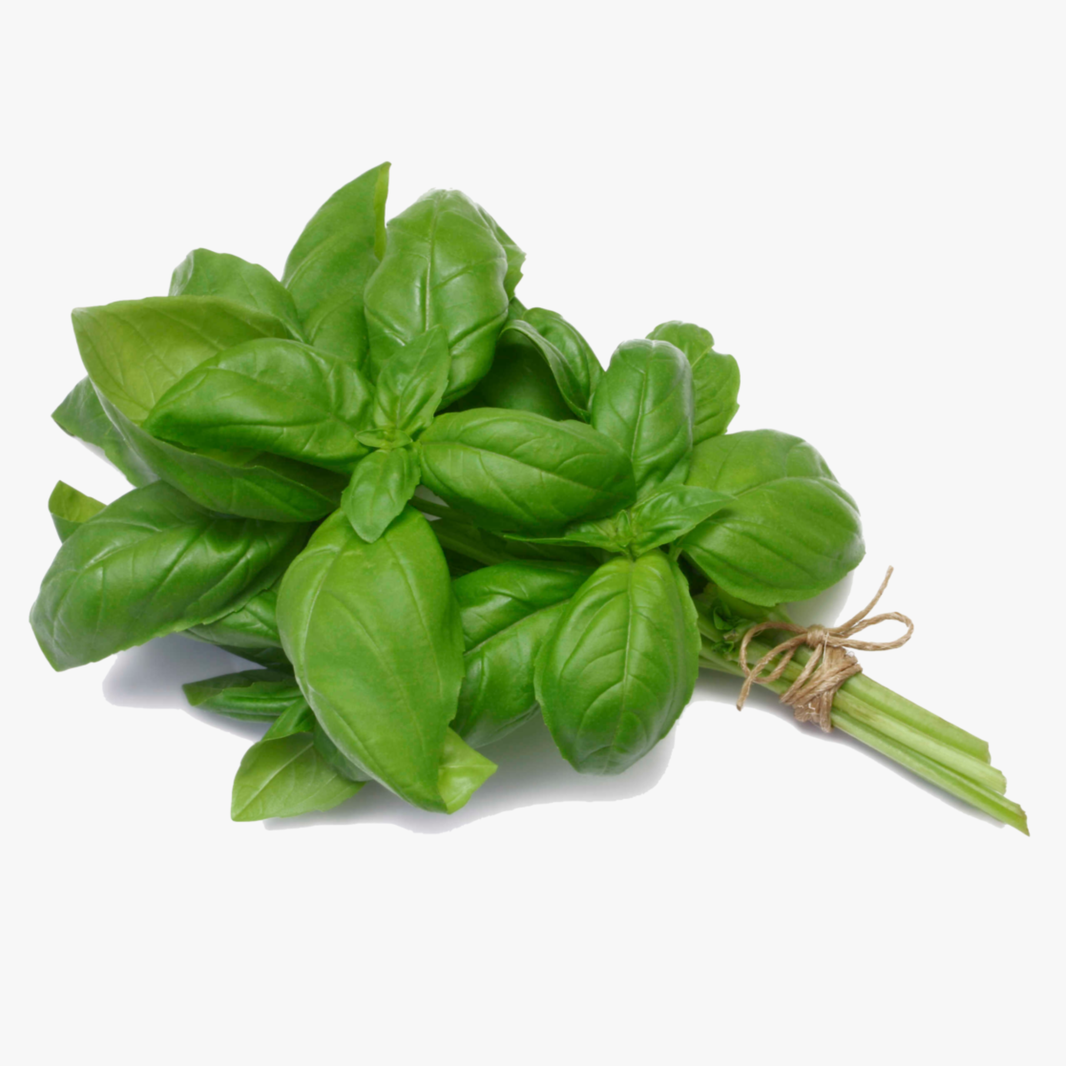 Basil Each