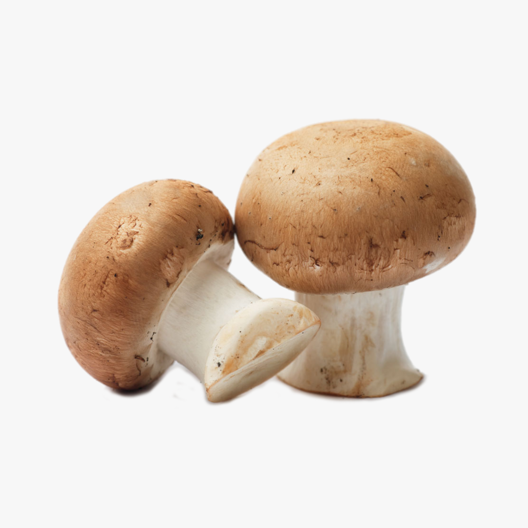 Shimeji Mushrooms Each