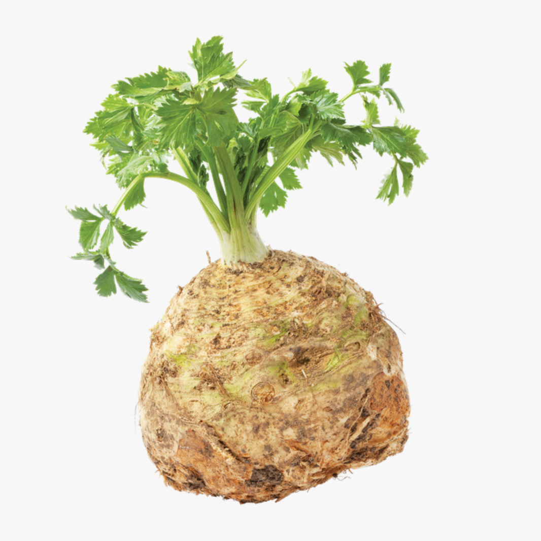Celeriac Each