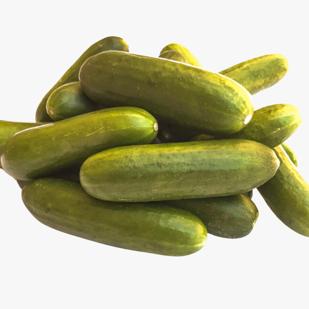 Baby Cucumber Each-Approx 250G