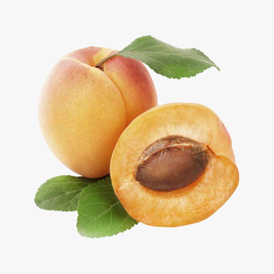 Apricot Large