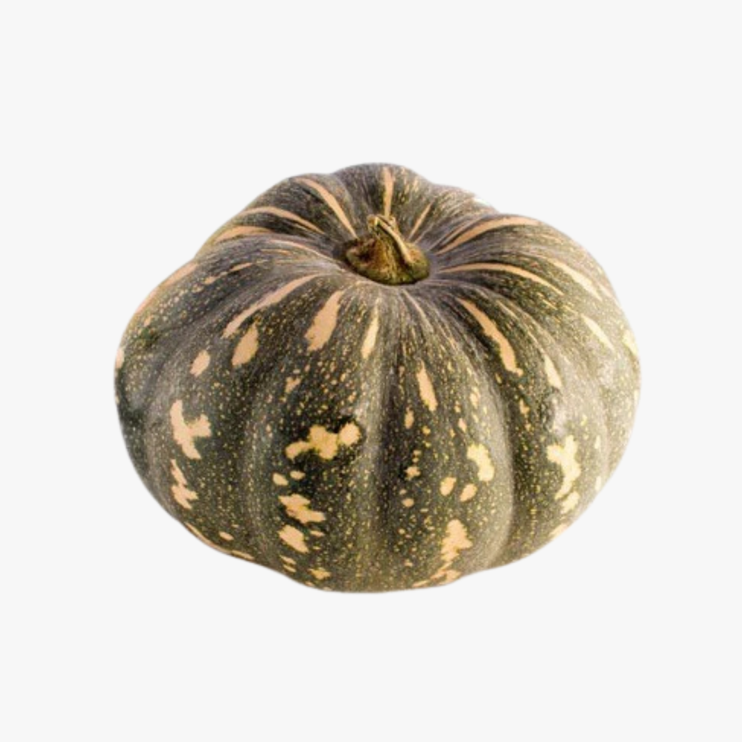 Jap Pumpkin