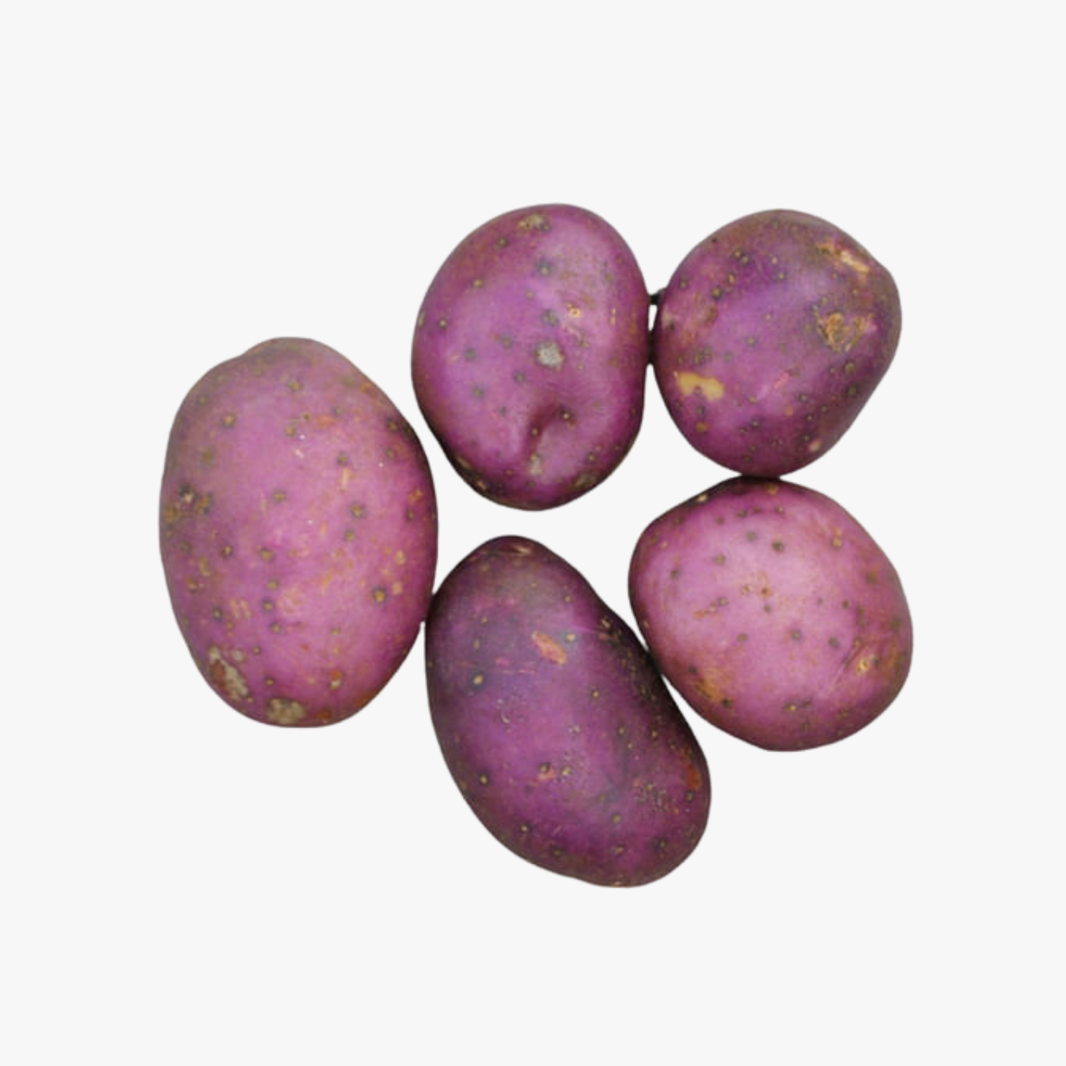 Royal Blue Potatoes