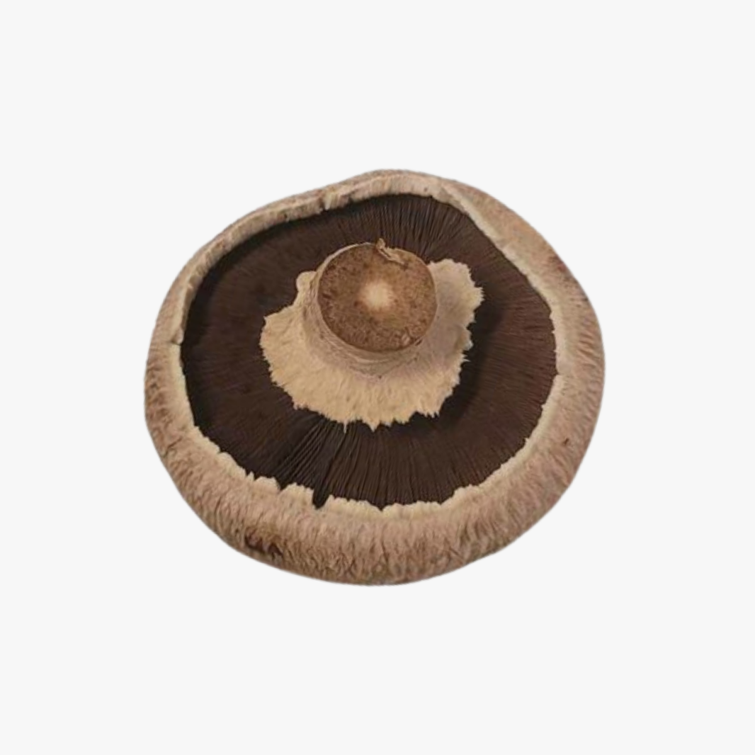 Swiss Flat Mushrooms