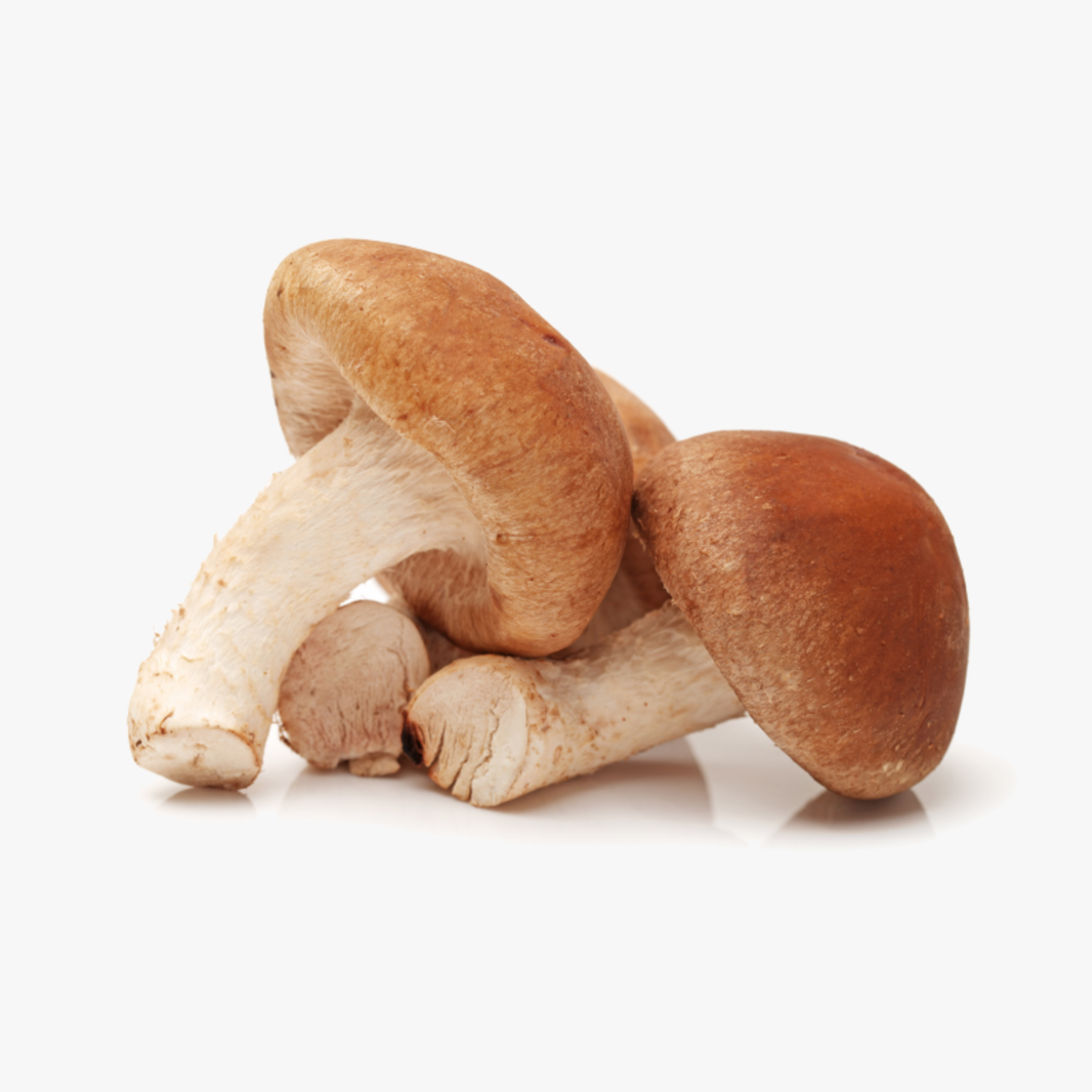 Shitake Mushrooms Each