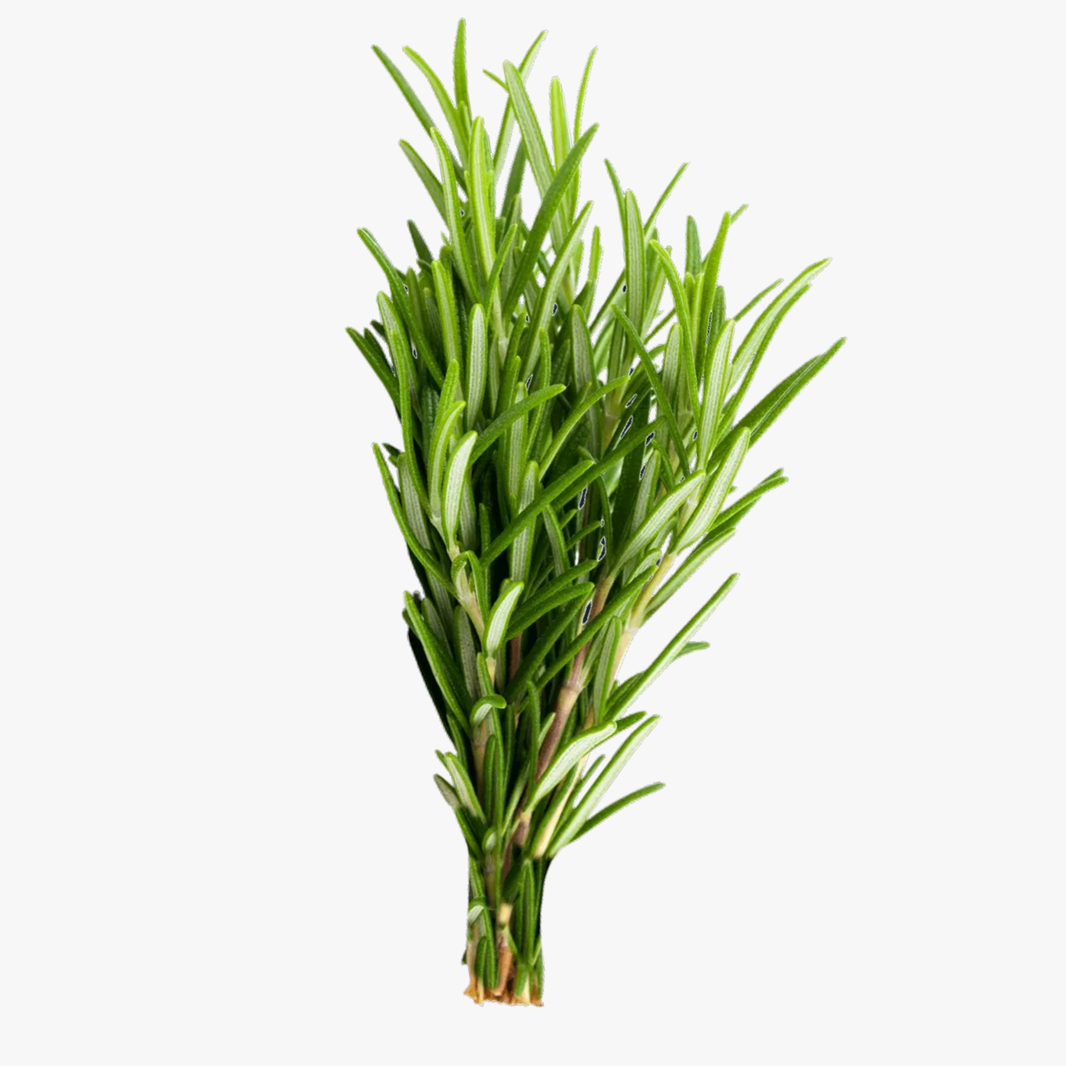Rosemary Each