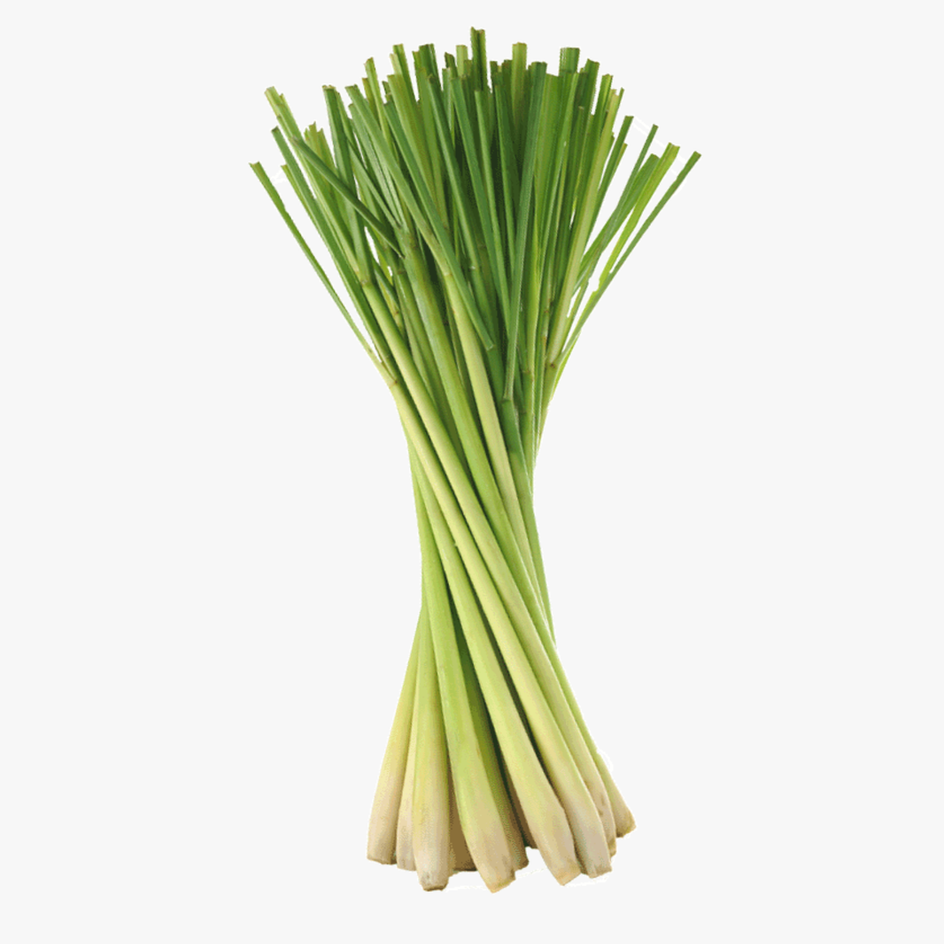 Lemon Grass Each