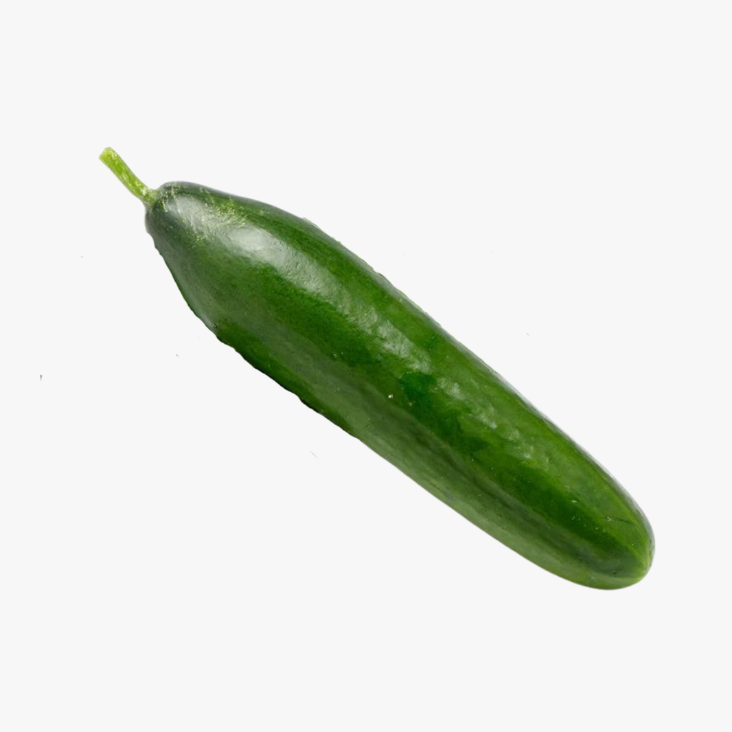 Lebanese Cucumber