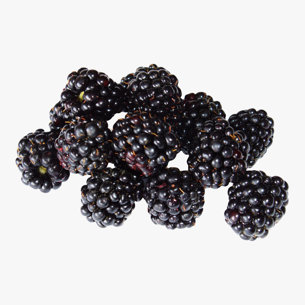 Blackberry Tray-125G