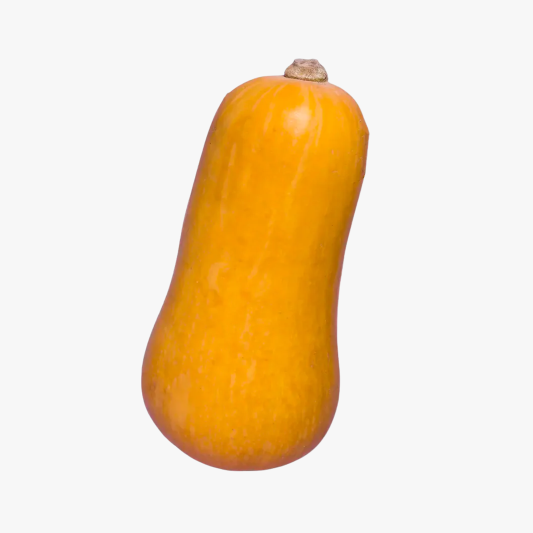 Butternut