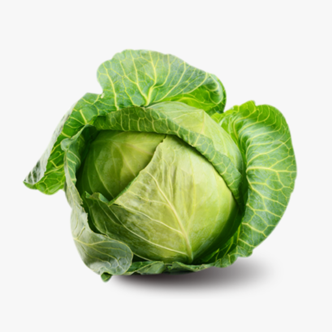 Cabbage