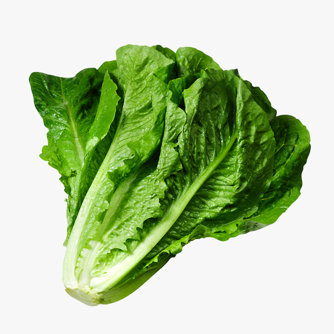 Lettuce Each