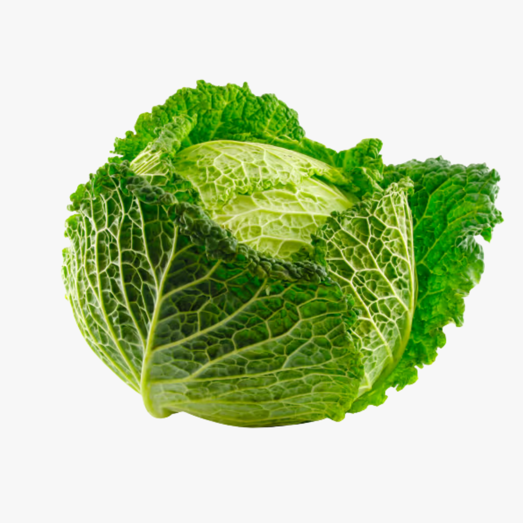 Savoy Cabbage