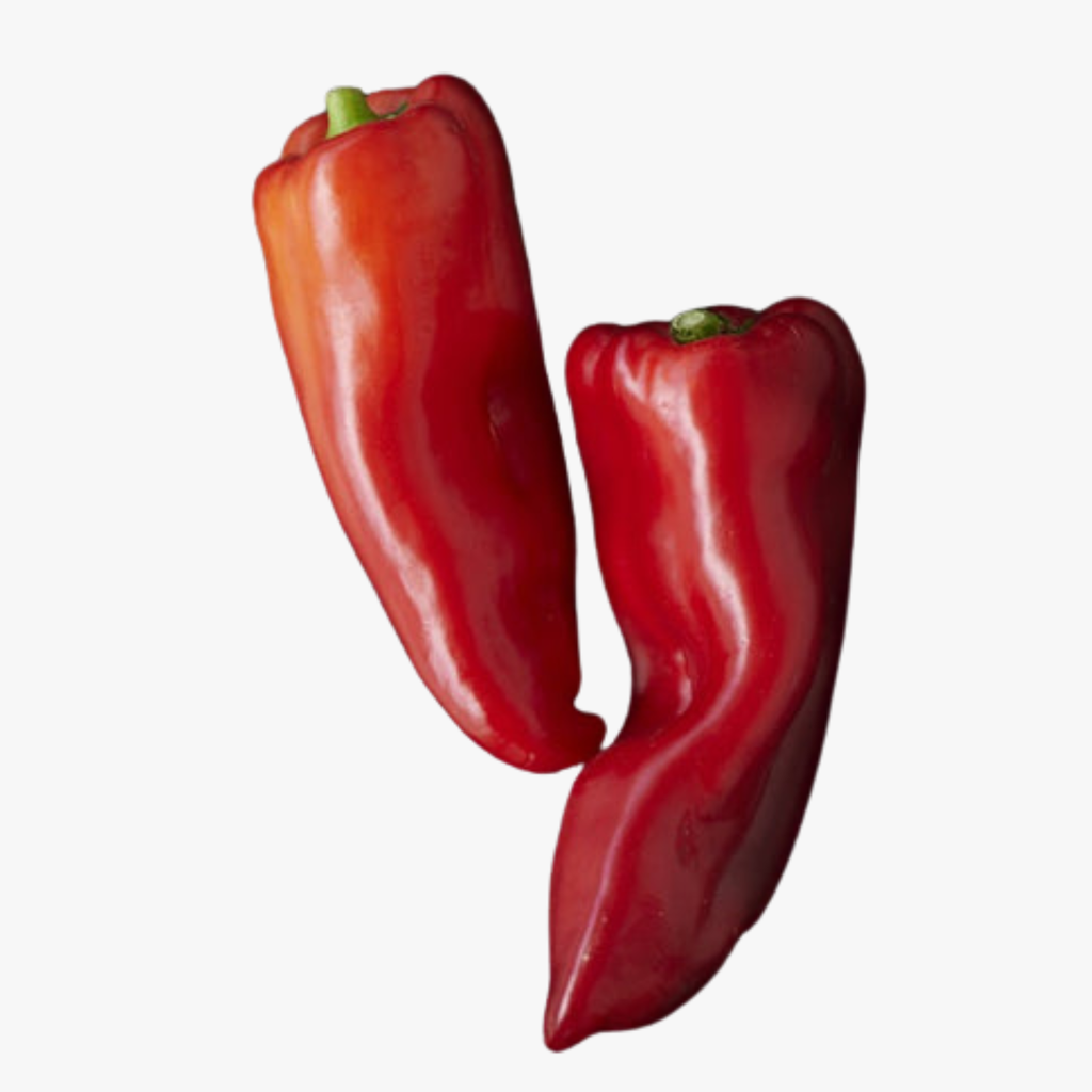 Red Bullhorn