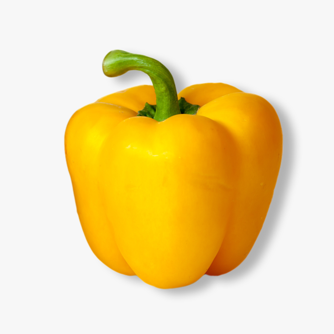 Yellow Capsicum