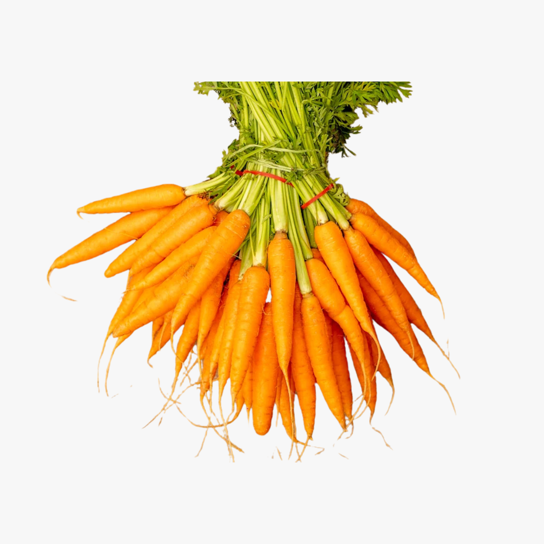 Dutch Carrots Each
