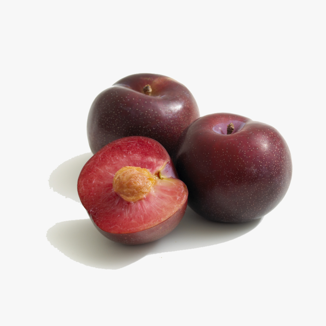 Blood Plum